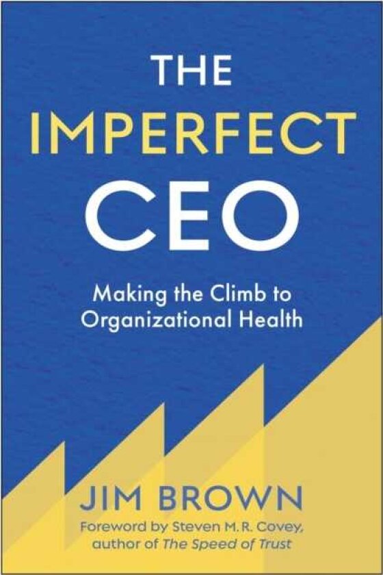 The Imperfect CEO Making the Climb to Organizational Health