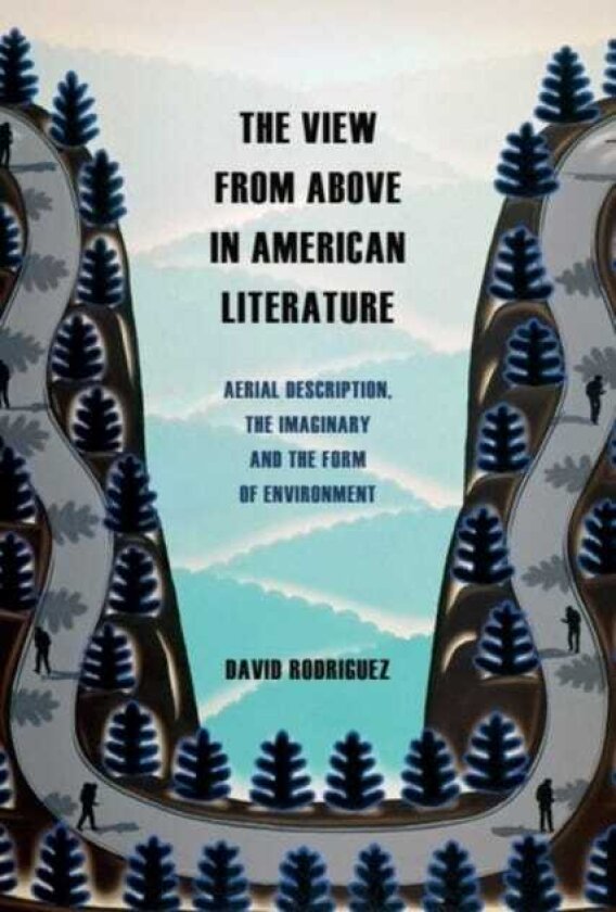 The View from Above in American Literature Aerial Description, the Imaginary and the Form of Environment