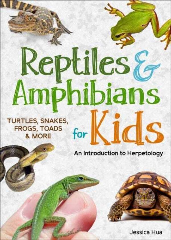 Reptiles & Amphibians for Kids An Introduction to Herpetology