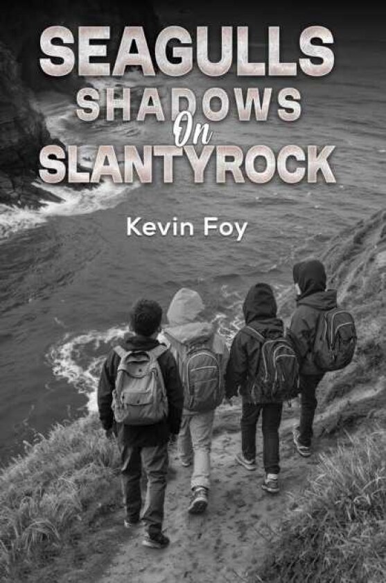 Seagulls Shadows on Slantyrock