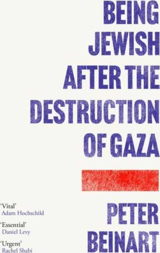 Being Jewish After the Destruction of Gaza