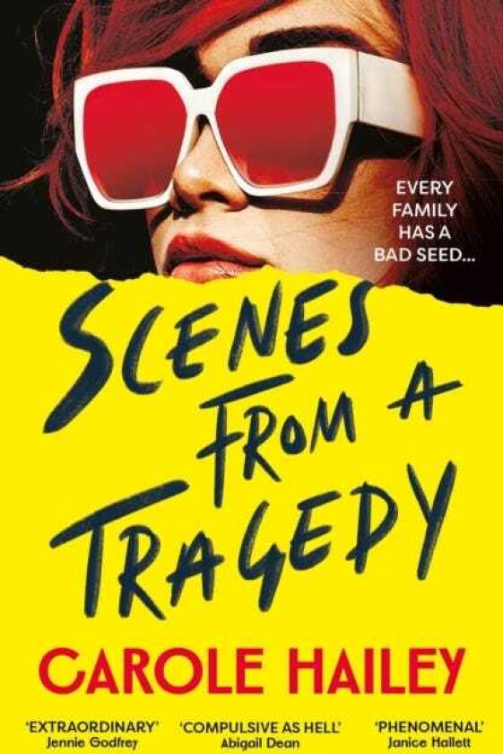 Scenes from a Tragedy an addictive, gripping thriller from the bestselling author of The Silence Project