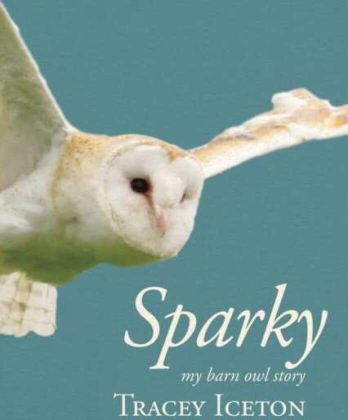 Sparky My Barn Owl Story