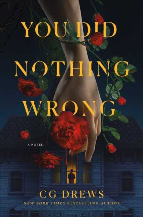 You Did Nothing Wrong A Novel