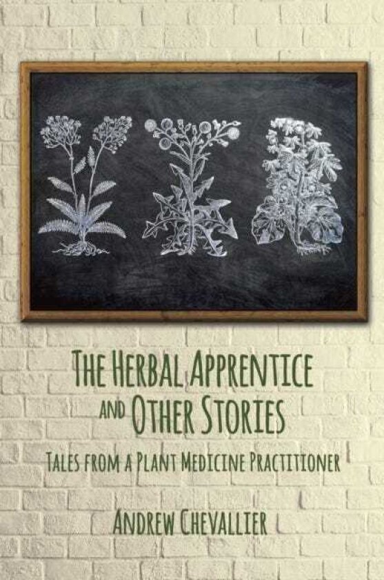 The Herbal Apprentice and Other Stories Tales from a Plant Medicine Practitioner