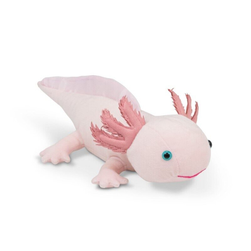 World Of Nature Axolotl Kosedyr Animigos