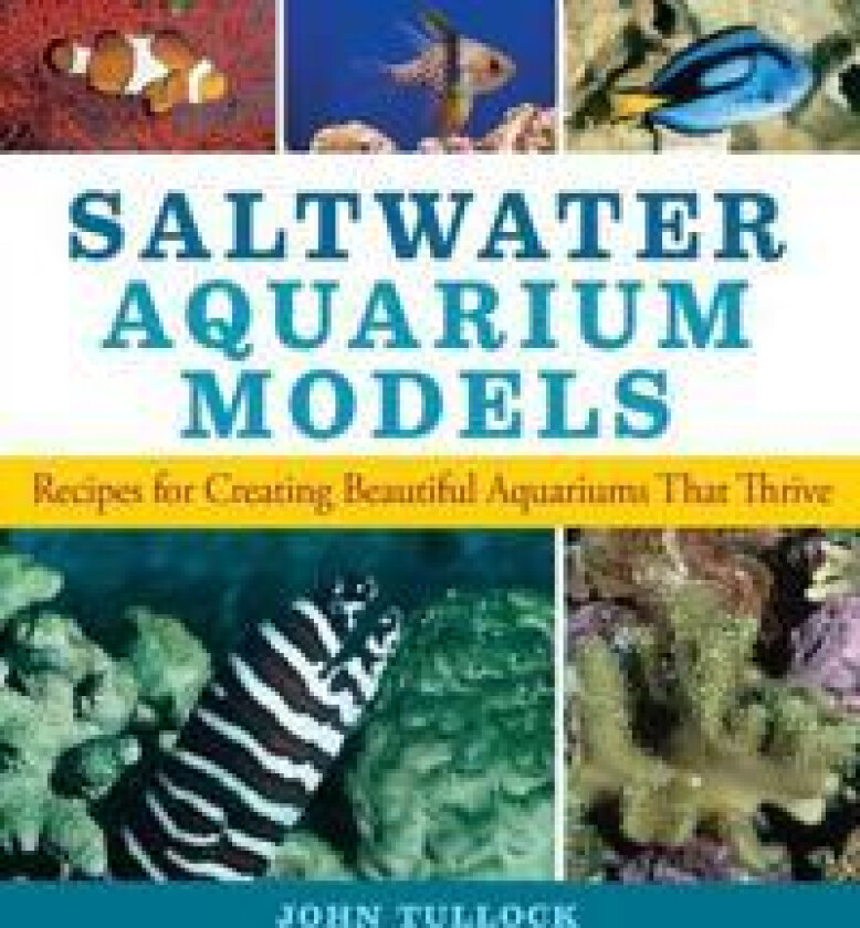 Saltwater Aquarium Models
