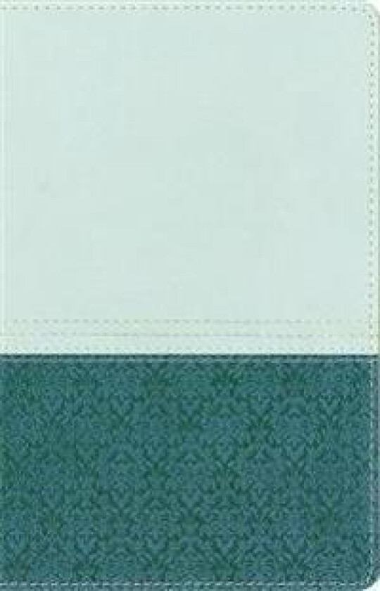 NIV Study Bible Sea Glass/Caribbean Duo-Tone Personal Size
