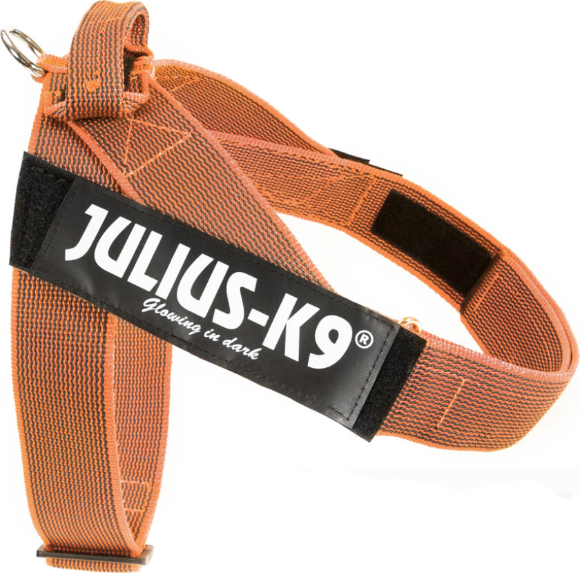 IDC® Color & Grey sele, oransje/grå - Størrelse: XL/2: brystomkrets 71 - 96 cm