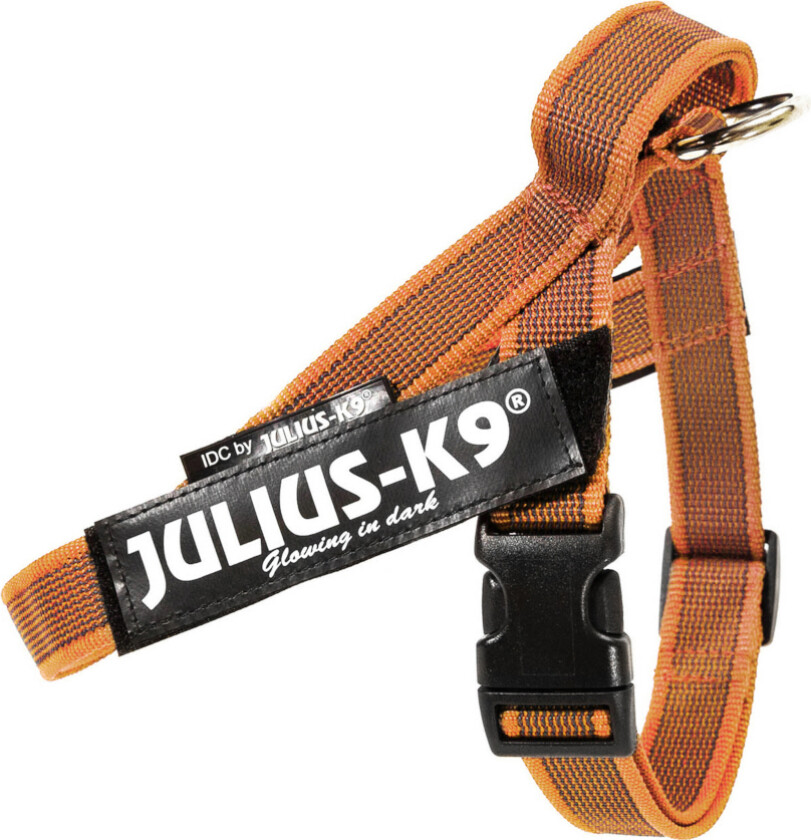 IDC® Color & Grey sele, oransje/grå - Størrelse S/Mini: brystomkrets 49 - 67 cm