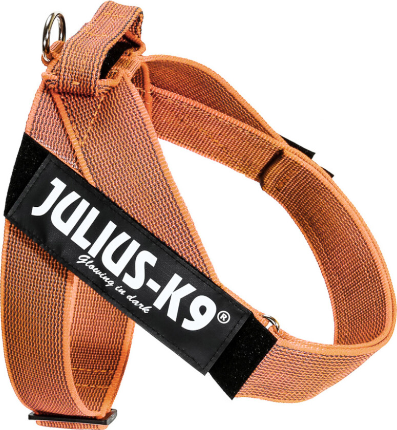 IDC® Color & Grey sele, oransje/grå - Størrelse L/1: Brystomkrets 63 - 85 cm