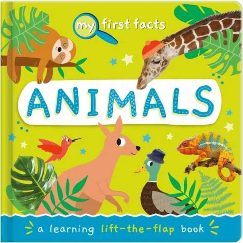 Animals a learning lifttheflap book
