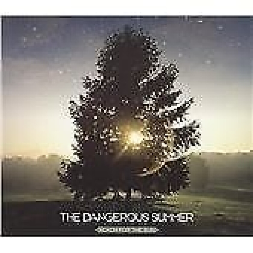 The Dangerous Summer : Reach for the Sun CD (2010)