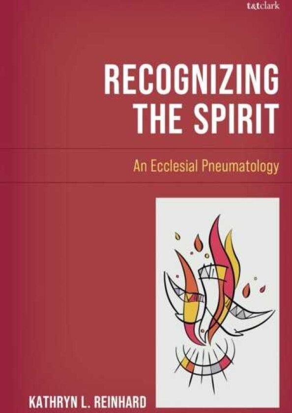 Recognizing the Spirit An Ecclesial Pneumatology