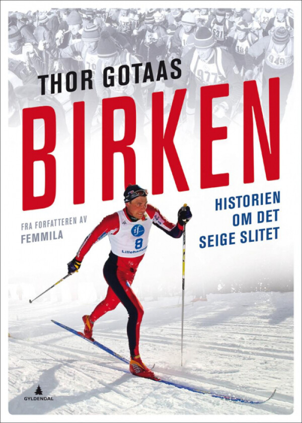 Birken av Thor Gotaas