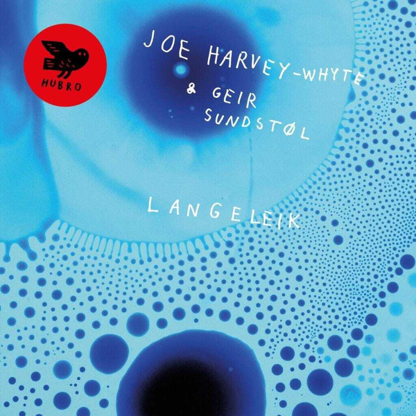 Joe HarveyWhyte, Geir Sundstøl Langeleik CD