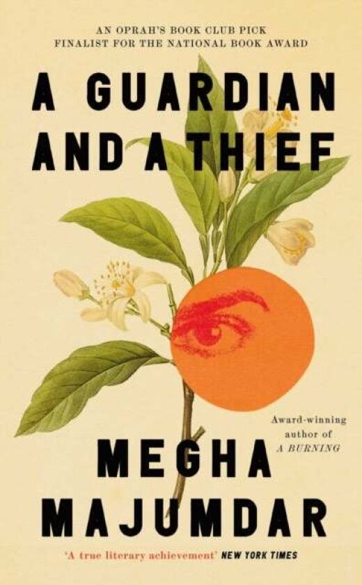 A Guardian and a Thief av Megha Majumdar