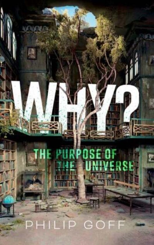 Why? The Purpose of the Universe av Philip (Professor of Philosophy Professor of Philosophy Durham University) Goff, Philip Goff