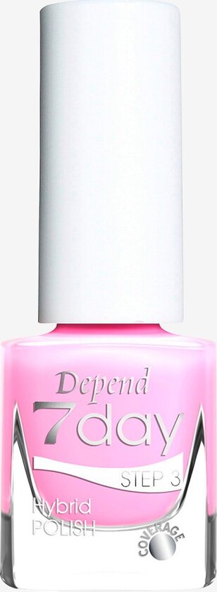 7day Hybrid Polish - Rosa