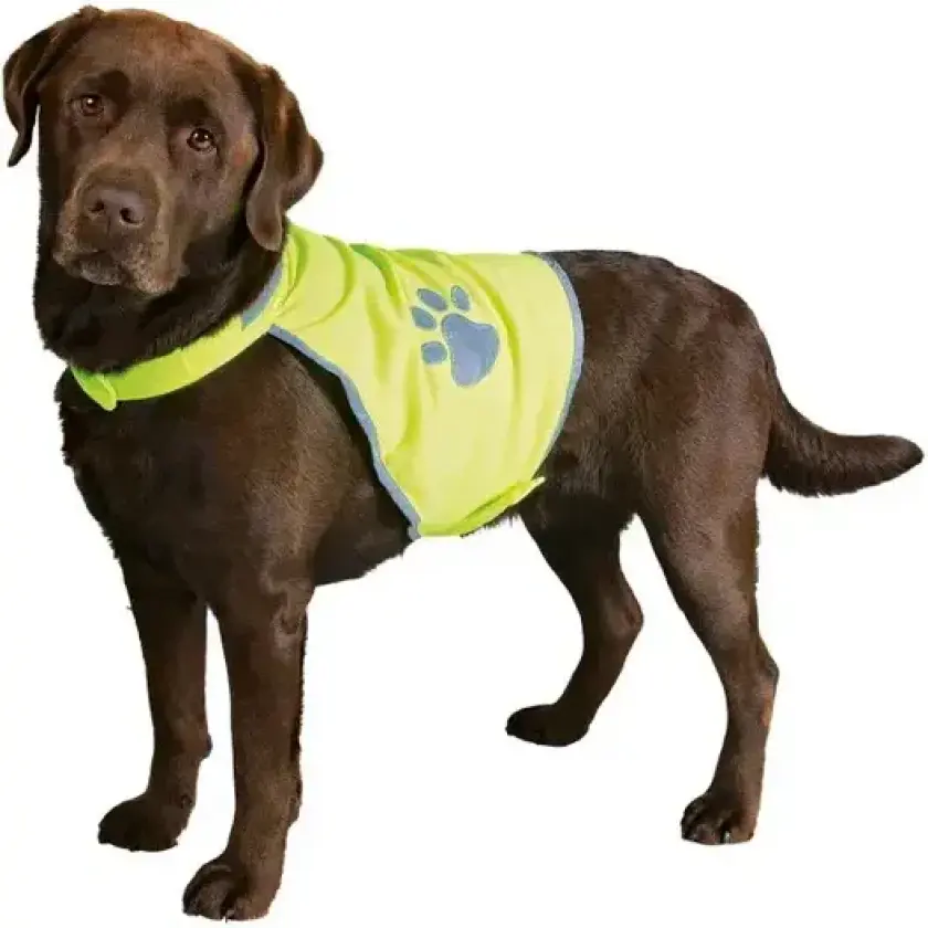 Refleksvest Hund | Flere Størrelser