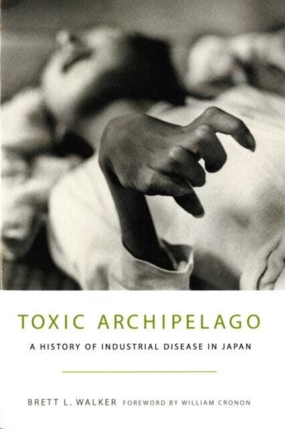 Toxic Archipelago A History of Industrial Disease in Japan