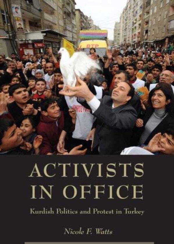 Activists in Office Kurdish Politics and Protest in Turkey