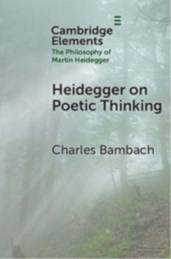 Heidegger on Poetic Thinking av Charles (University of Texas at Dallas) Bambach