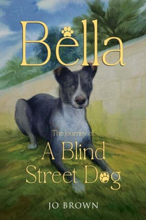 Bella, the journey of A Blind Street Dog av Jo Brown