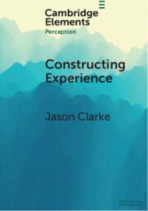 Constructing Experience av Jason (University of West London) Clarke