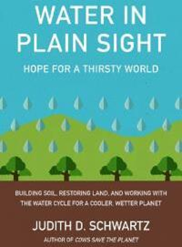 Water in Plain Sight