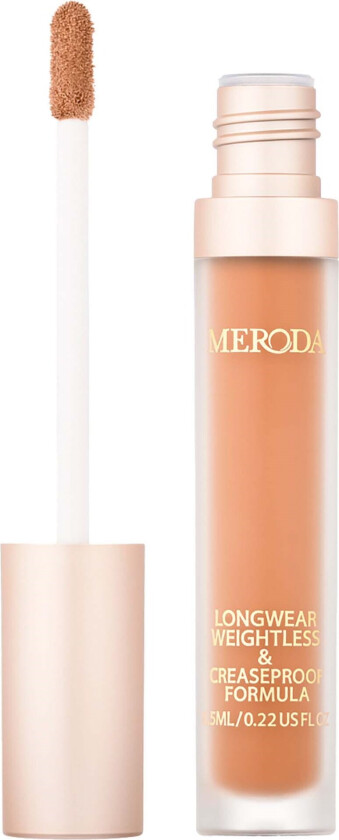 Universal Concealer 12C