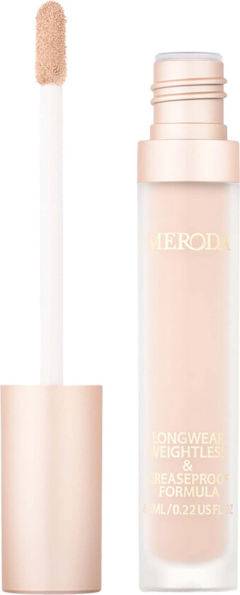 Universal Concealer 2W