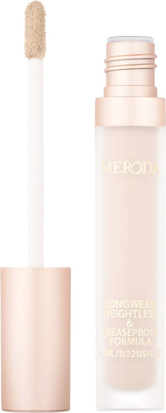 Universal Concealer 1C