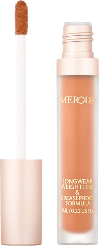 Universal Concealer 13C