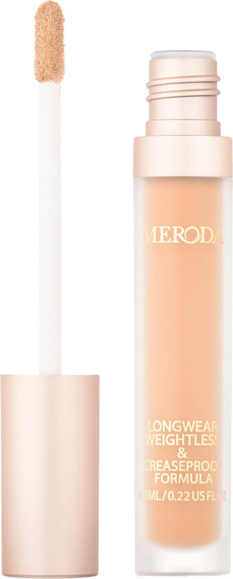 Universal Concealer 9C