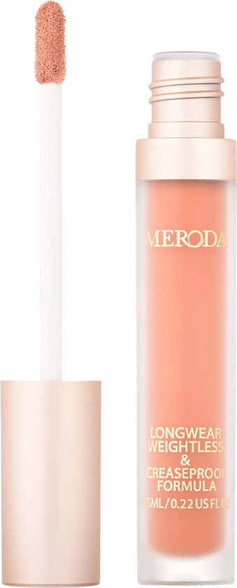 Universal Concealer 11W