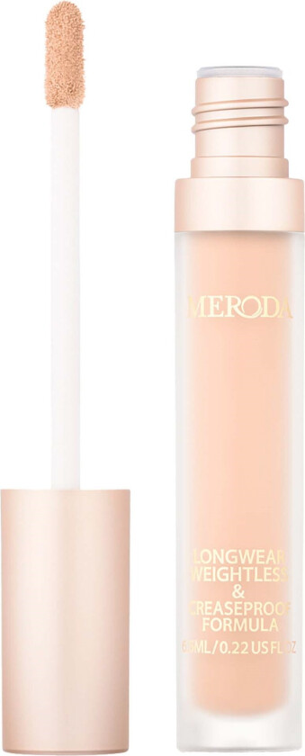 Universal Concealer 5W