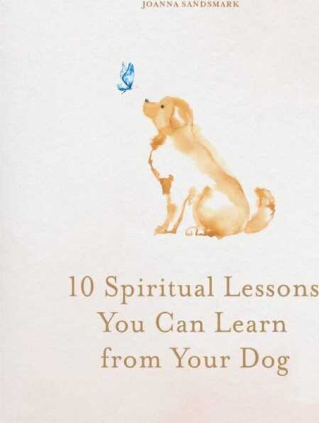 10 Spiritual Lessons You Can Learn from Your Dog Essential Life Lessons We Can Learn From Our Furry Friend