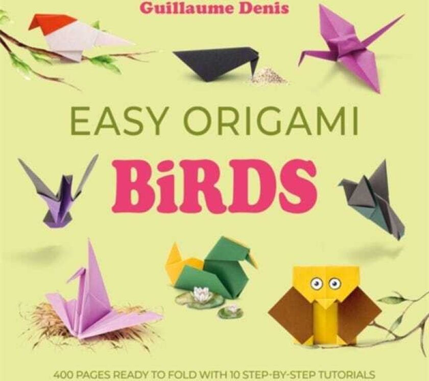 Easy Origami Birds 400 Pages Ready to Fold with 10 StepbyStep Tutorials