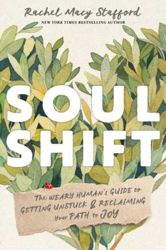Soul Shift The Weary Human's Guide to Getting Unstuck and Reclaiming Your Path to Joy