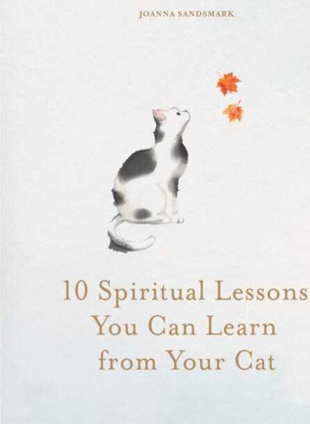10 Spiritual Lessons You Can Learn from Your Cat Essential Life Lessons We Can Learn From Our Furry Friend