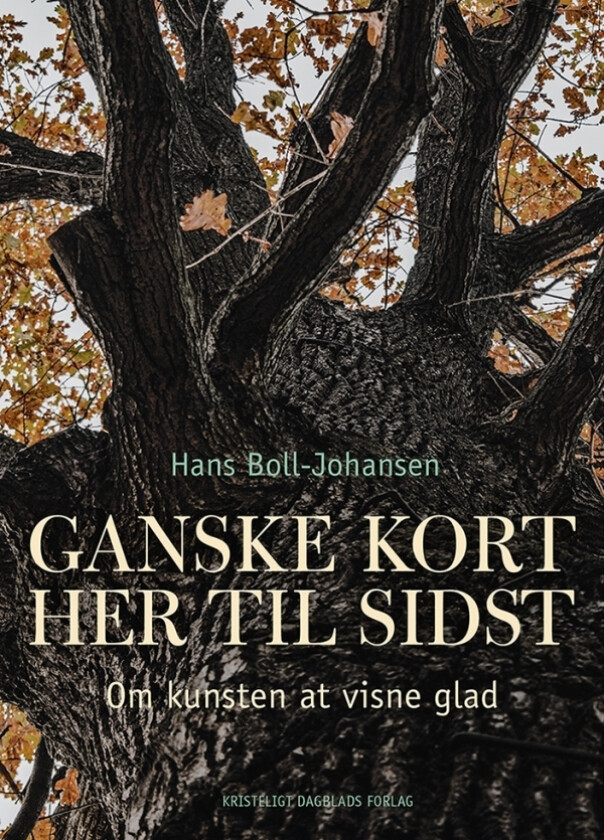 Ganske kort her til sidst | Hans Boll-Johansen | Språk: Dansk