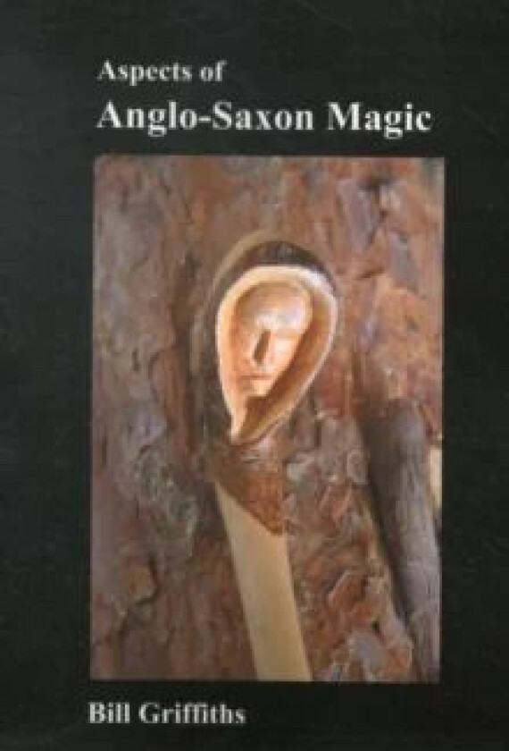 Aspects of Anglo-Saxon Magic av Bill Griffiths