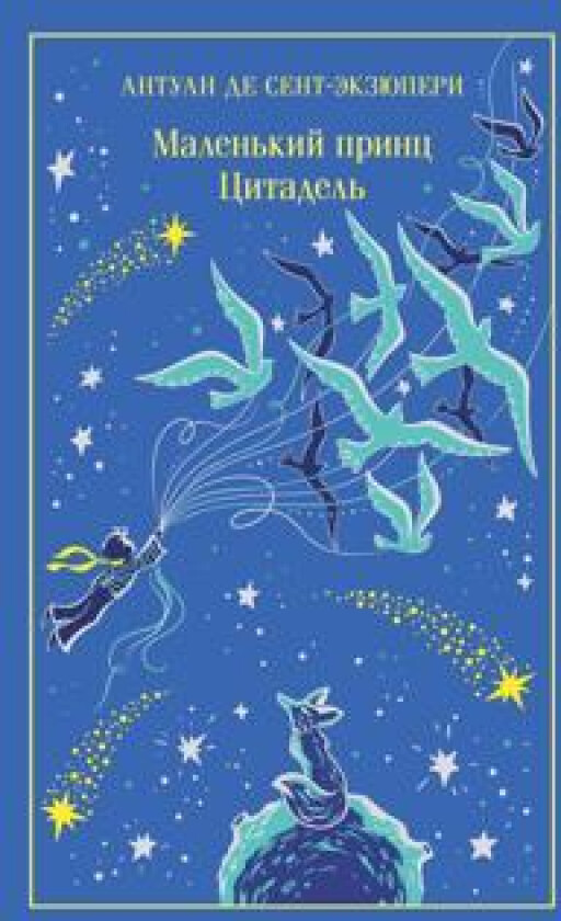 Malenkij prints. Tsitadel (podarochnoe izdanie)