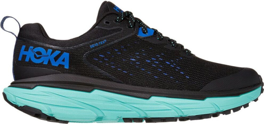 Challenger ATR 6 GTX W Terrengsko Black/Cascade, USL 8