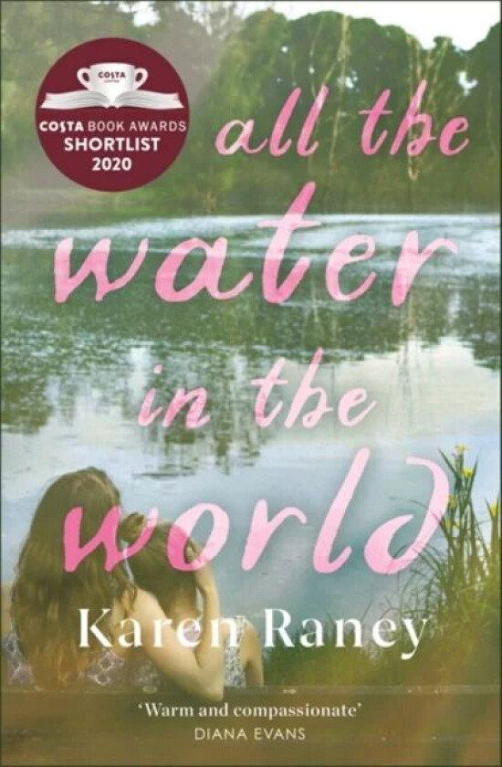 All the Water in the World av Karen Raney
