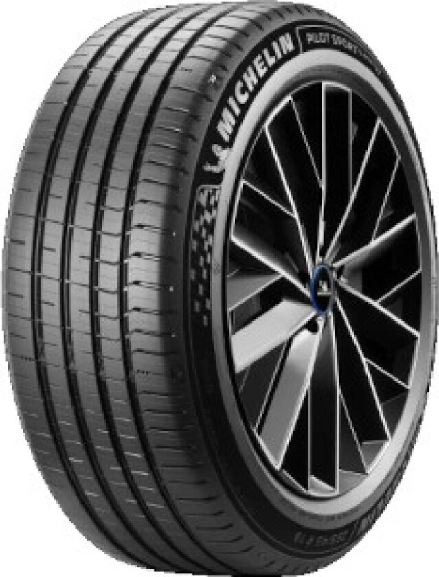 Pilot Sport 5 Energy ( 255/45 R21 106Y XL )