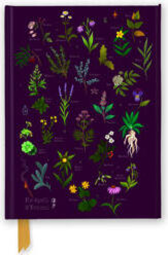 Anna Stead: For Spells & Potions (Foiled Journal)