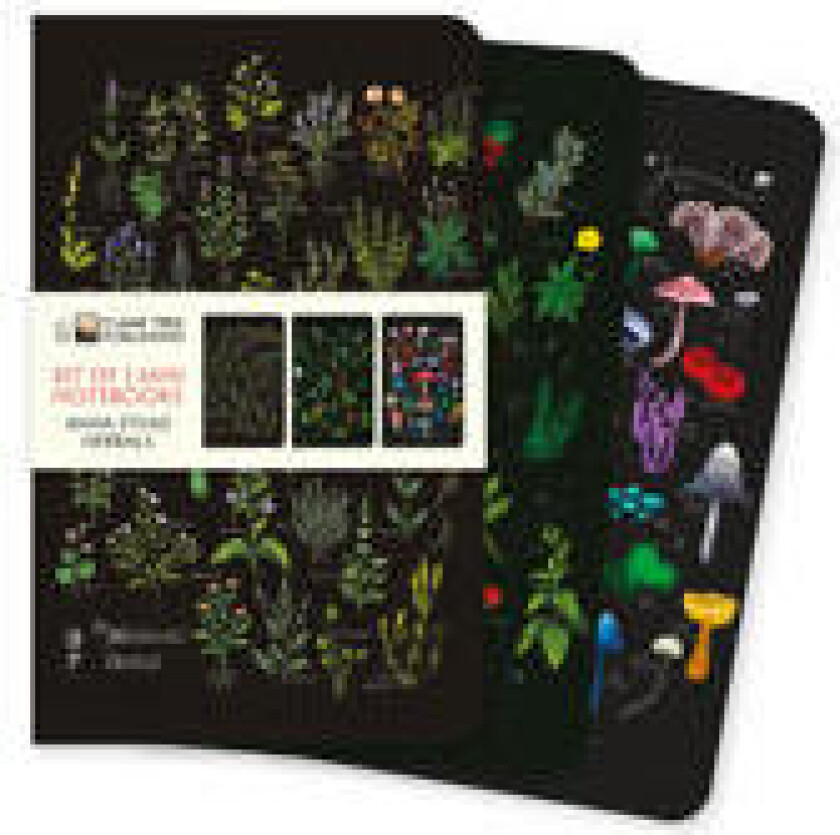 Anna Stead: Herbals Set of 3 Mini Notebooks