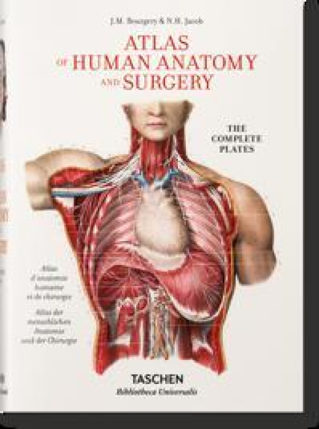 Bourgery. Atlas de anatomía humana y cirugía